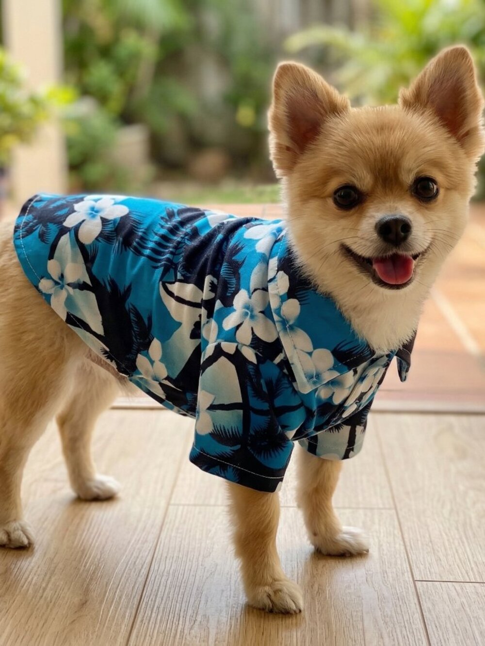 Blue Hawaii Polo